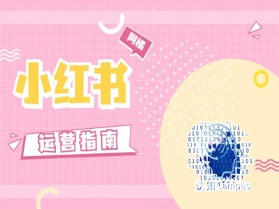 小红书运营指南，没有套路，全是经验-极速轻创