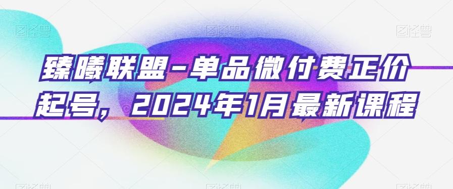 臻曦联盟-单品微付费正价起号，2024年1月最新课程-极速轻创
