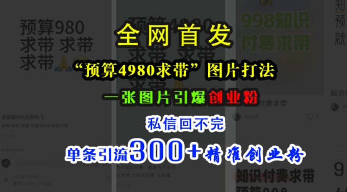 小红书“预算4980带我飞”图片打法，一张图片引爆创业粉，私信回不完，单条引流300+精准创业粉-极速轻创