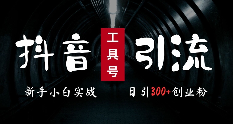 2024最新抖音工具号引流玩法，高效日引300+创业粉，当天变现5k，小白也可成为实战高手-极速轻创
