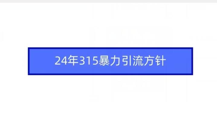 24年315暴力引流方针-极速轻创