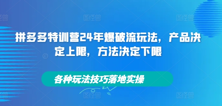 拼多多特训营24年爆破流玩法，产品决定上限，方法决定下限，各种玩法技巧落地实操-极速轻创