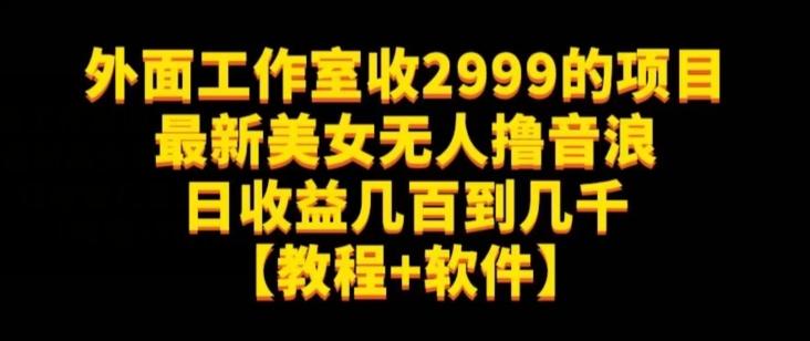 外面工作室收2999的项目最新美女无人撸音浪日收益几百到几千【教程+软件】（仅揭秘）-极速轻创