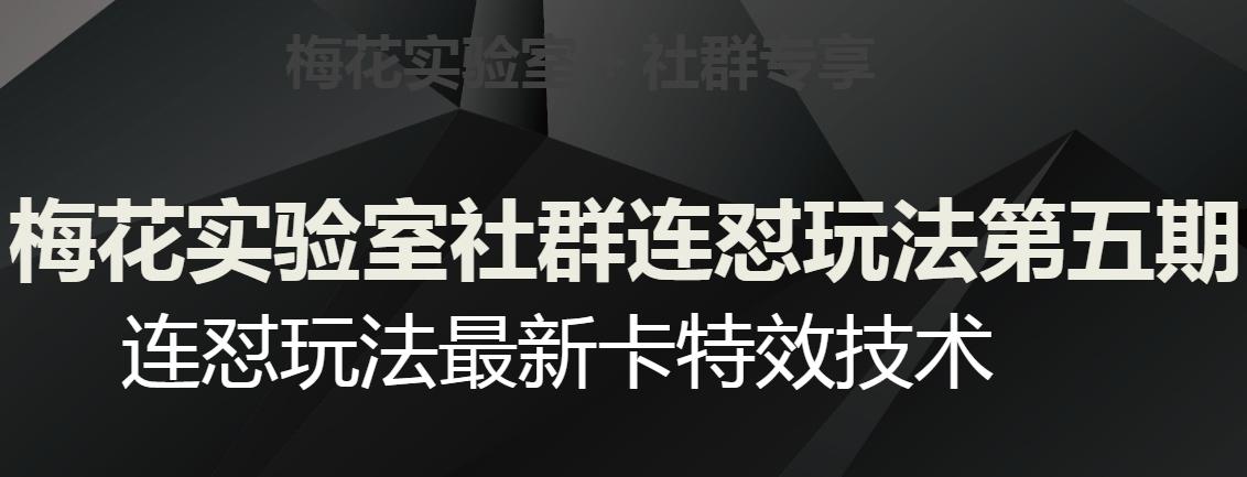 梅花实验室社群连怼玩法第五期，视频号连怼玩法最新卡特效技术-极速轻创