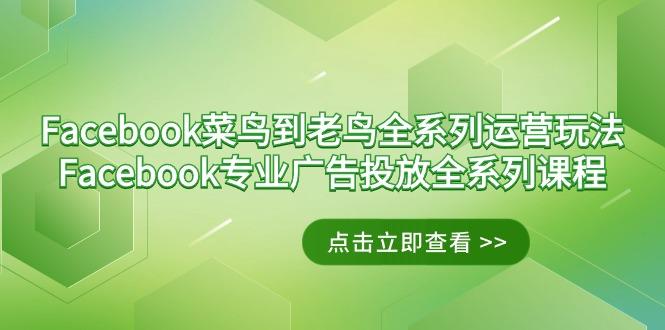 Facebook-菜鸟到老鸟全系列运营玩法+Facebook-专业广告投放全系列课程-极速轻创
