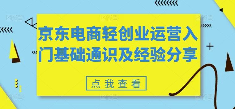 京东电商轻创业运营入门基础通识及经验分享-极速轻创