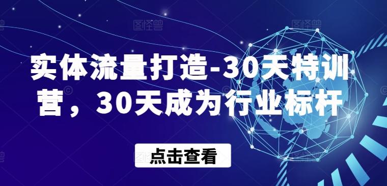 实体流量打造-30天特训营，30天成为行业标杆-极速轻创