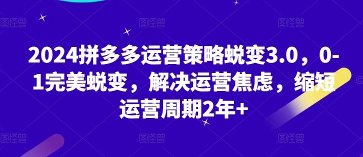 2024拼多多运营策略蜕变3.0，0-1完美蜕变，解决运营焦虑，缩短运营周期2年+-极速轻创