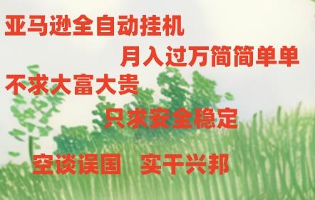 亚马逊全自动浏览挂机-极速轻创