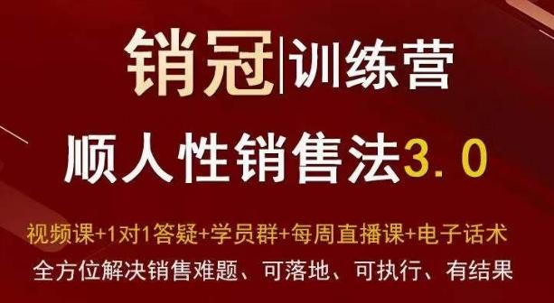 爆款！销冠训练营3.0之顺人性销售法，全方位解决销售难题、可落地、可执行、有结果-极速轻创