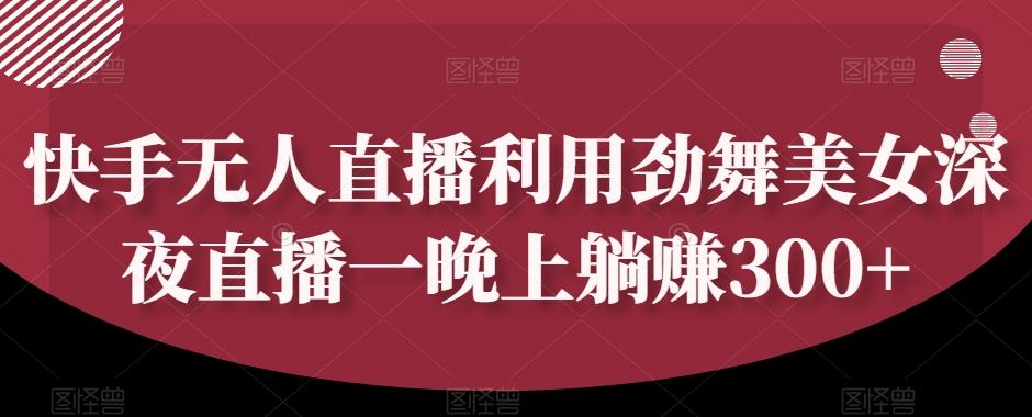 快手无人直播利用劲舞美女深夜直播一晚上躺赚300+-极速轻创
