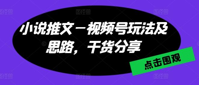 小说推文—视频号玩法及思路，干货分享-极速轻创