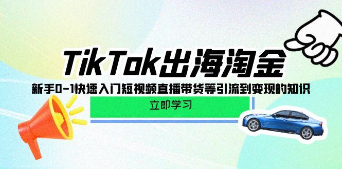 (10035期)TikTok-出海淘金，新手0-1快速入门短视频直播带货等引流到变现的知识-极速轻创