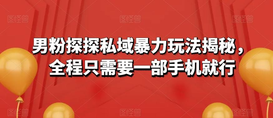 男粉探探私域暴力玩法揭秘，全程只需要一部手机就行-极速轻创