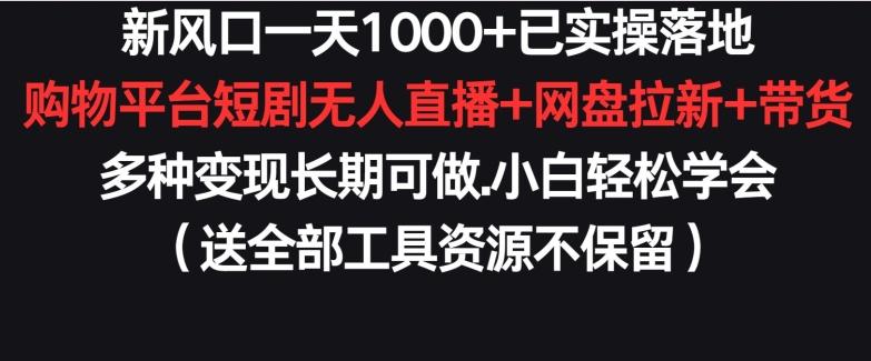 新风口一天1000+已实操落地购物平台短剧无人直播+网盘拉新+带货多种变现长期可做【揭秘】-极速轻创