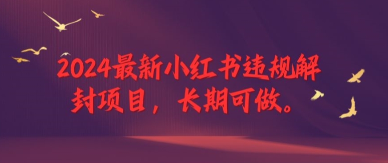 2024最新小红书违规解封项目，长期可做，一个可以做到退休的项目【揭秘】-极速轻创