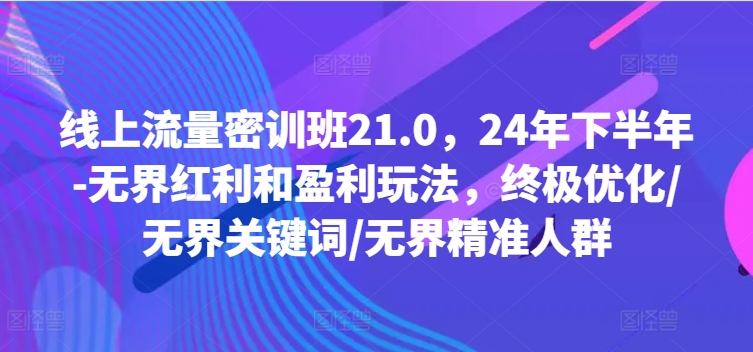 线上流量密训班21.0，24年下半年-无界红利和盈利玩法，终极优化/无界关键词/无界精准人群-极速轻创
