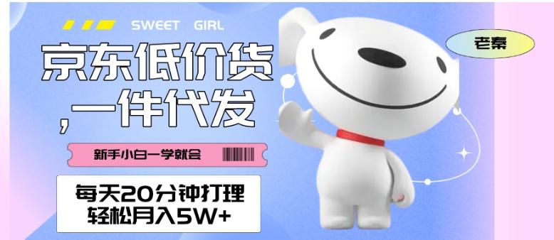 每天20分钟打理京东低价货，一件代发-轻松月入5W＋-极速轻创