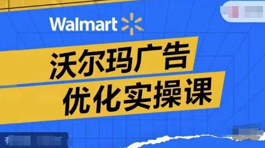 沃尔玛广告优化实操课，广告报告实操讲解，广告如何提高转化和ROAS等-极速轻创