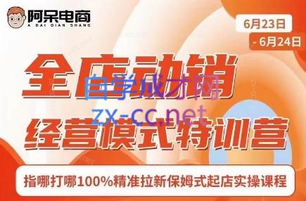 阿呆电商·全店动销经营模式特训营(线下录音+思维导图)-极速轻创