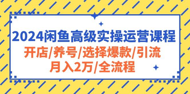 2024闲鱼高级实操运营课程：开店/养号/选择爆款/引流/月入2万/全流程-极速轻创