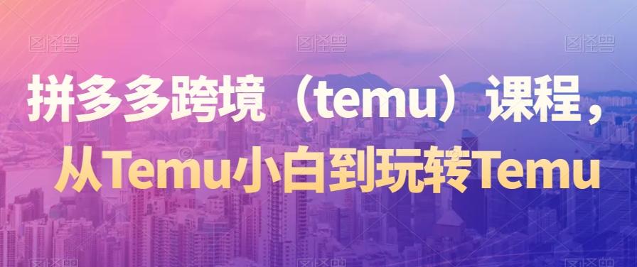 拼多多跨境（temu）课程，从Temu小白到玩转Temu-极速轻创
