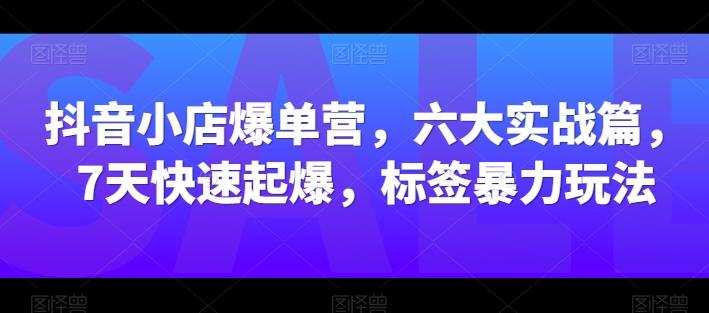抖音小店爆单营，六大实战篇，7天快速起爆，标签暴力玩法-极速轻创