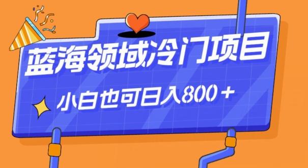 蓝海领域冷门赛道，一单39.9，日入800＋-极速轻创