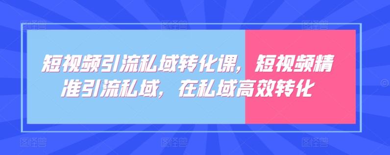 短视频引流私域转化课，短视频精准引流私域，在私域高效转化-极速轻创