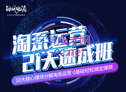 淘系运营21天速成班(更新7月)-极速轻创