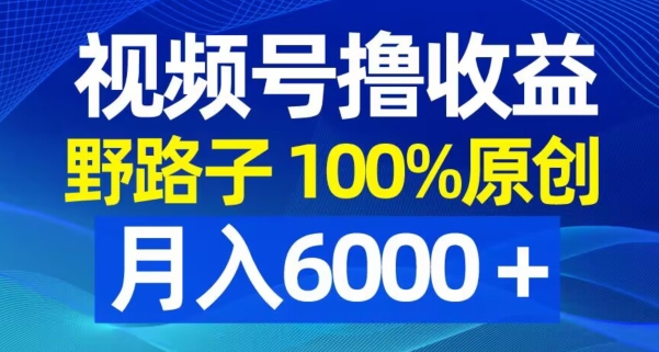 视频号野路子撸收益，100%原创，条条爆款，月入6000＋【揭秘】-极速轻创