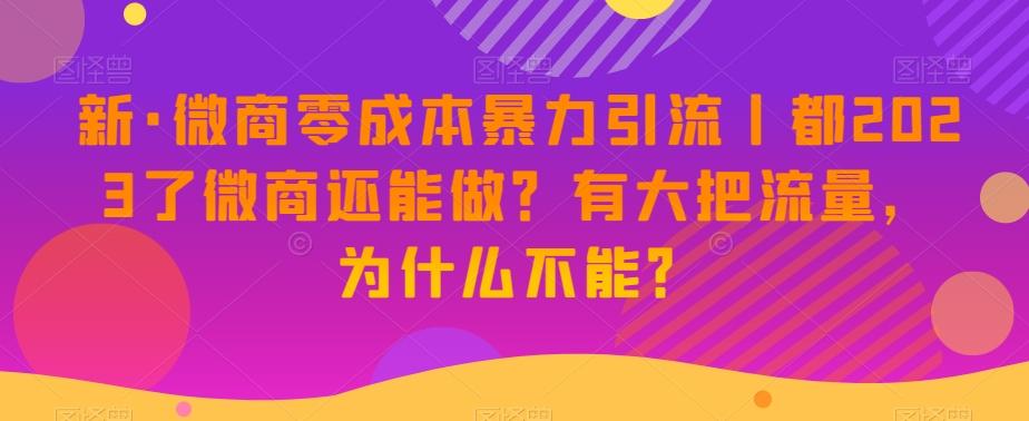 新·微商零成本暴力引流丨都2023了微商还能做？有大把流量，为什么不能？-极速轻创