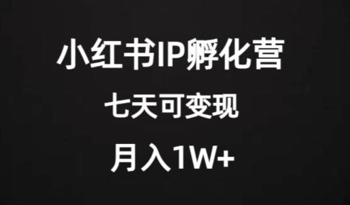 价值2000+的小红书IP孵化营项目，超级大蓝海，七天即可开始变现，稳定月入1W+-极速轻创