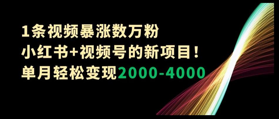 1条视频暴涨数万粉–小红书+视频号的新项目！单月轻松变现2000-4000【揭秘】-极速轻创