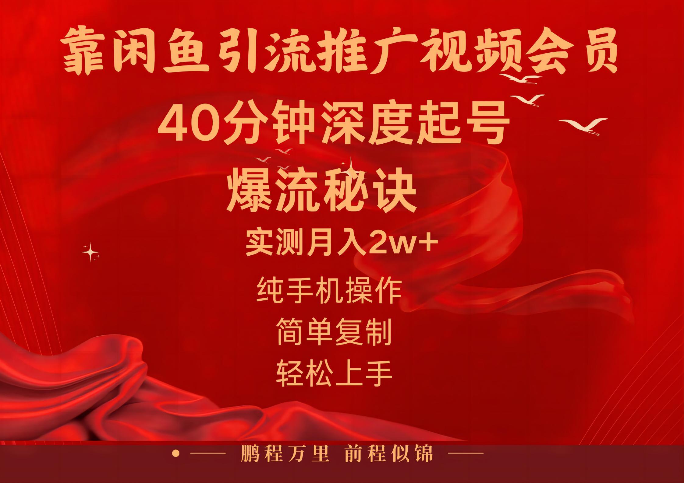 闲鱼暴力引流推广视频会员，能做到日入2W+，操作简单-极速轻创