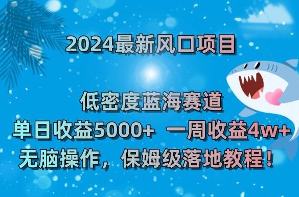 2024最新风口项目，低密度蓝海赛道，单日收益5000+，一周收益4w+！【揭秘】-极速轻创