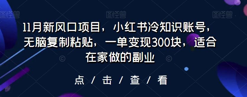 11月新风口项目，小红书冷知识账号，无脑复制粘贴，一单变现300块，适合在家做的副业-极速轻创