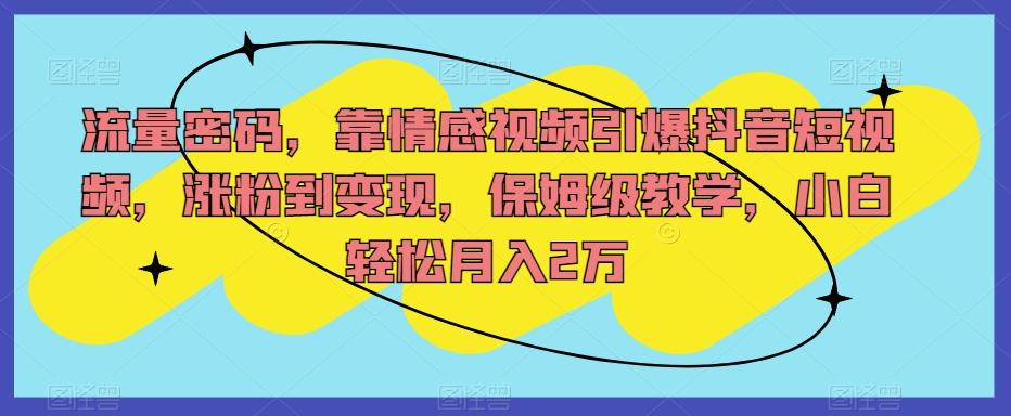 流量密码，靠情感视频引爆抖音短视频，涨粉到变现，保姆级教学，小白轻松月入2万【揭秘】-极速轻创