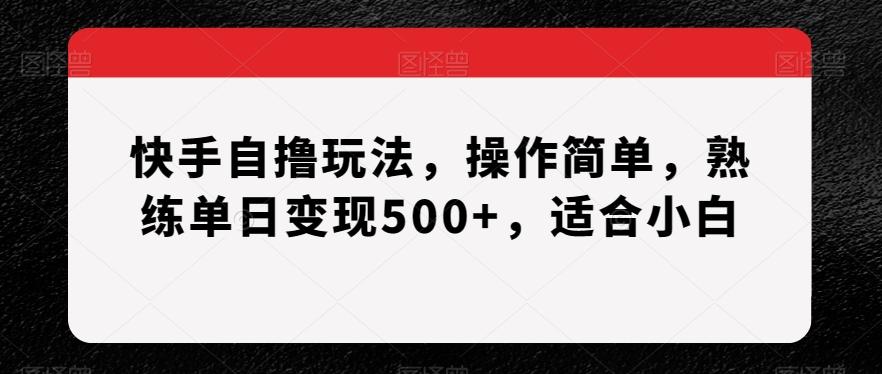 快手自撸玩法，操作简单，熟练单日变现500+，适合小白【揭秘】-极速轻创