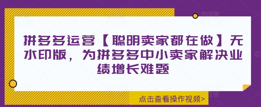 拼多多运营【聪明卖家都在做】无水印版，为拼多多中小卖家解决业绩增长难题-极速轻创