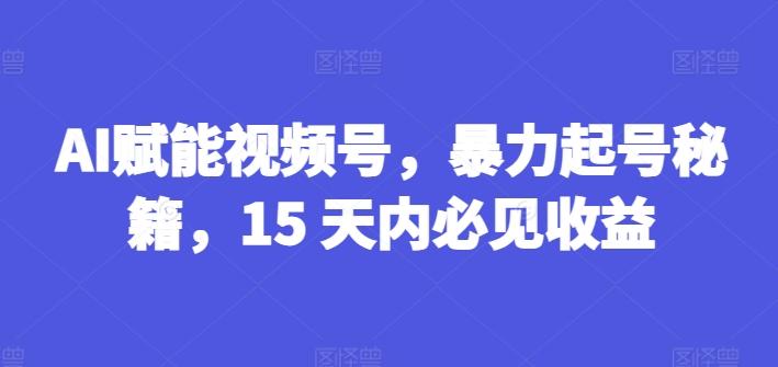 AI赋能视频号，暴力起号秘籍，15 天内必见收益【揭秘】-极速轻创