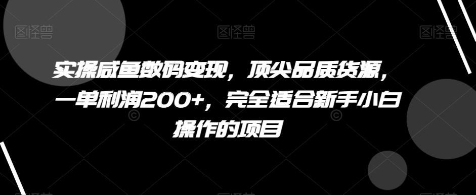 实操咸鱼数码变现，顶尖品质货源，一单利润200+，完全适合新手小白操作的项目【揭秘】-极速轻创