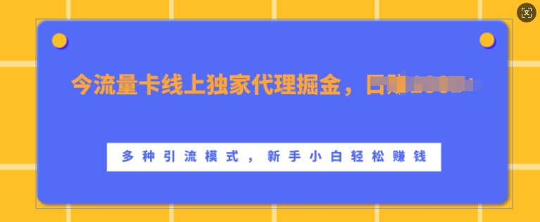 流量卡线上独家代理掘金，日入1k+ ，多种引流模式，新手小白轻松上手【揭秘】-极速轻创