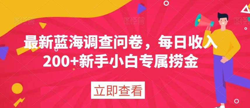 最新蓝海调查问卷，每日收入200+新手小白专属捞金-极速轻创