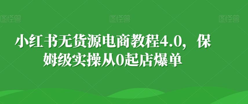 小红书无货源电商教程4.0，保姆级实操从0起店爆单【拆解】-极速轻创