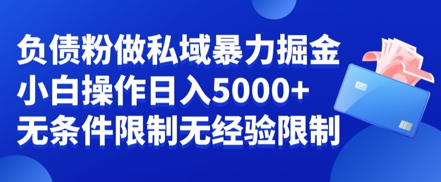 负债粉私域暴力掘金，小白操作入5000，无经验限制，无条件限制【揭秘】-极速轻创