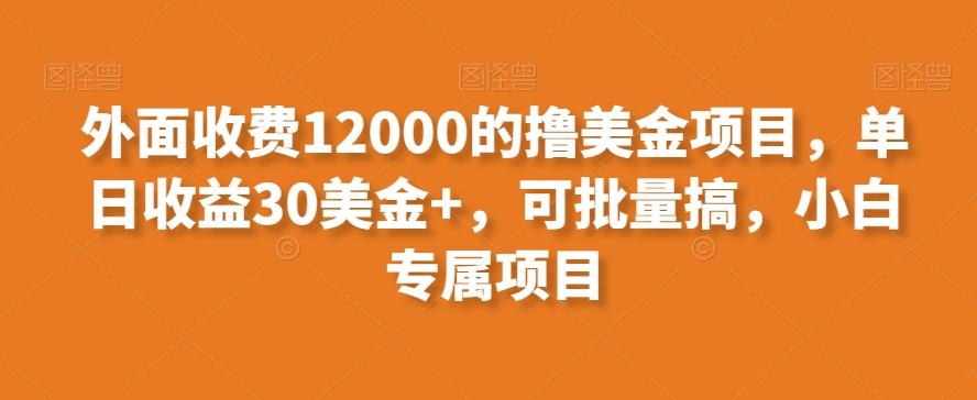 外面收费12000的撸美金项目，单日收益30美金+，可批量搞，小白专属项目-极速轻创