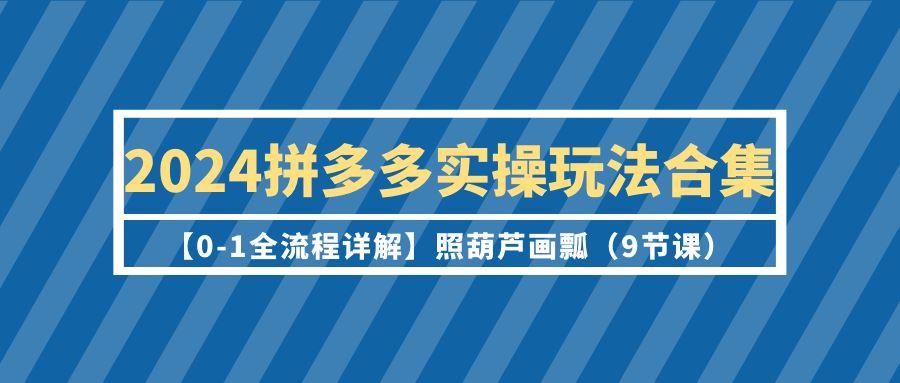 (9559期)2024拼多多实操玩法合集【0-1全流程详解】照葫芦画瓢(9节课)-极速轻创