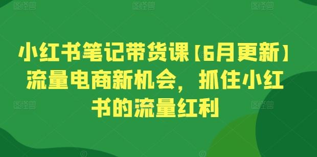 小红书笔记带货课【6月更新】流量电商新机会，抓住小红书的流量红利-极速轻创