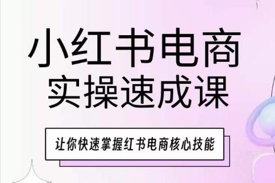 小红书电商实操速成课，让你快速掌握红书电商核心技能-极速轻创